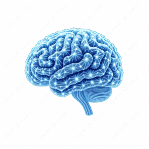 Tương lai ngành điện: Vì sao Doanh nghiệp Cần Đầu tư AI Omnichannel & Trợ lý AI thế hệ mới?